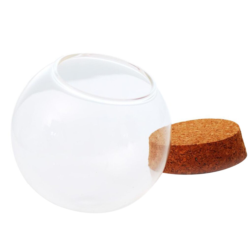 Vidro claro cloche globo display dome com base de madeira secas vaso de flores fada