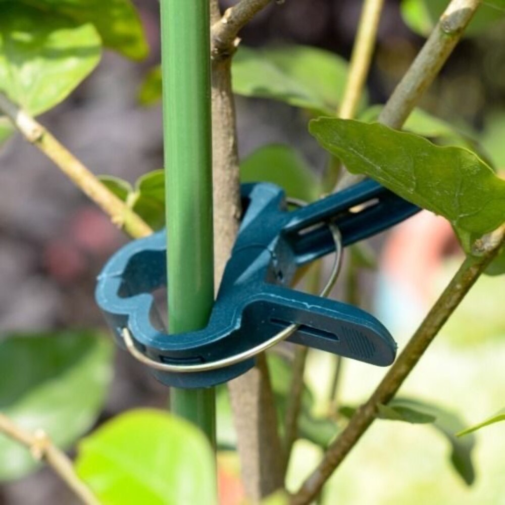 Greenhouse Bracket Pole Fixed Clamp Plant Support Clips Grafting Stakes Connector Garden Flower Vine Clips for Supporting Stems