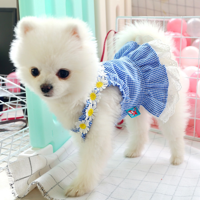 Hund kjole mini blå gitter sol blonder nederdel forår sommer hundetøj til lille hund fest hund nederdel hvalp kæledyr kostume kæledyr tøj