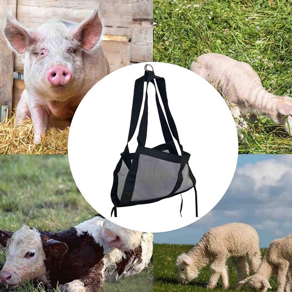 Eslinga ajustable de nailon grueso para aves de corral, eslinga de pequeña escala para granja, pesaje fijo para animales de granja