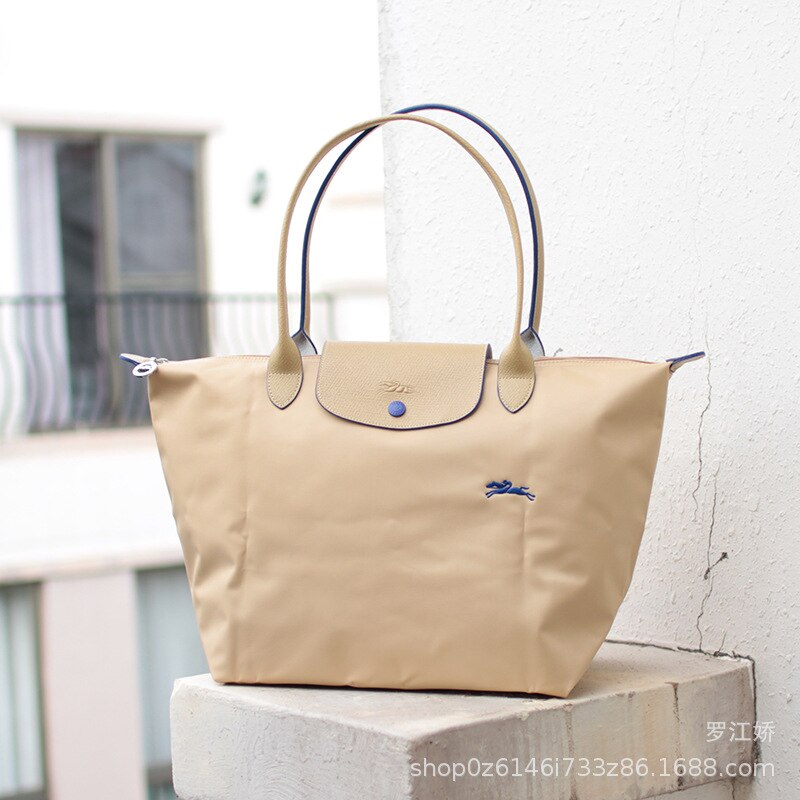Lange griff große bestickte knödel tasche wasserdichte pendler tasche handtasche nylon leinwand tasche: apricot