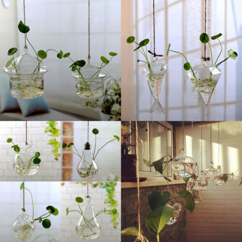 Cristal Claro flor planta soporte colgante jarrón terrario con forma de bola contenedor hogar Decoración florero de decoración para casa