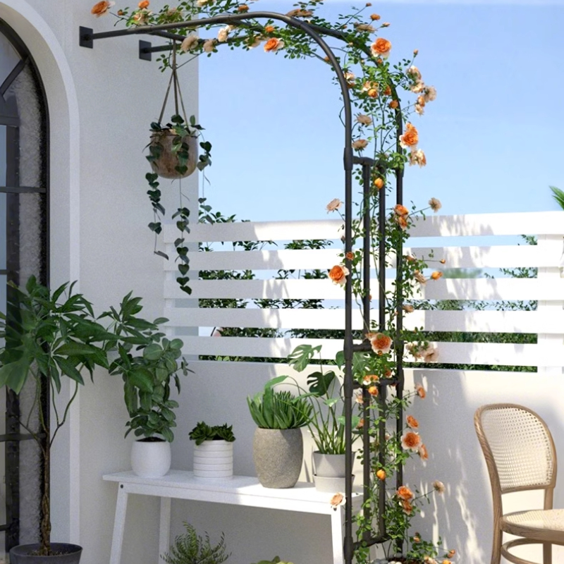 Support demi-arc pour plantes grimpantes, Support de jardin extérieur pour clématis ou Roses, Support de vigne de raisin Durable, système de culture de légumes