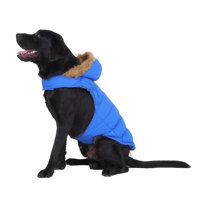 Bdthooo S-Xxl 100% Hond Jas Franse Bulldog Winter Waterdicht Honden Jas Kleding Voor Kleine Middelgrote Grote Honden kleding