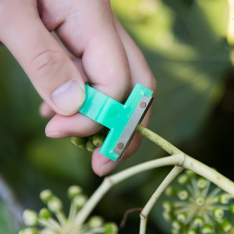 Tuingereedschap Groente Fruit Plukken Blade Tomaat Komkommer Druif Oranje Plukken Vinger Ring Tuin Meloen Schaar Ringen