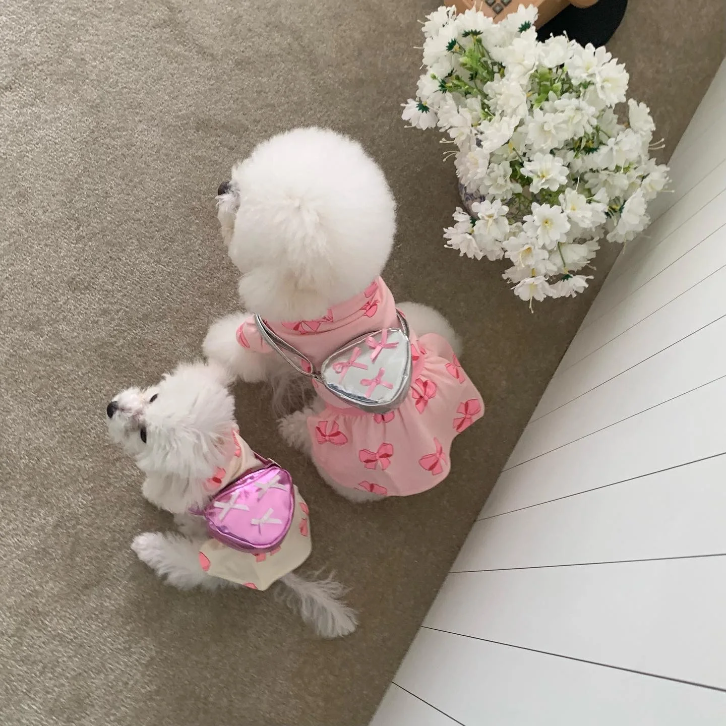 Ins Dreieck Rucksack Hund selbst tragende Tasche Silber Bogen kleine Umhängetasche Hund Katze Haustier selbst tragende Taschen Hundekot Taschen