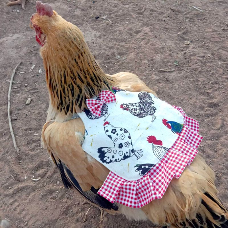 TOBILE Chicken Saddle, 4 Pieces Hen Apron Hen Feathers