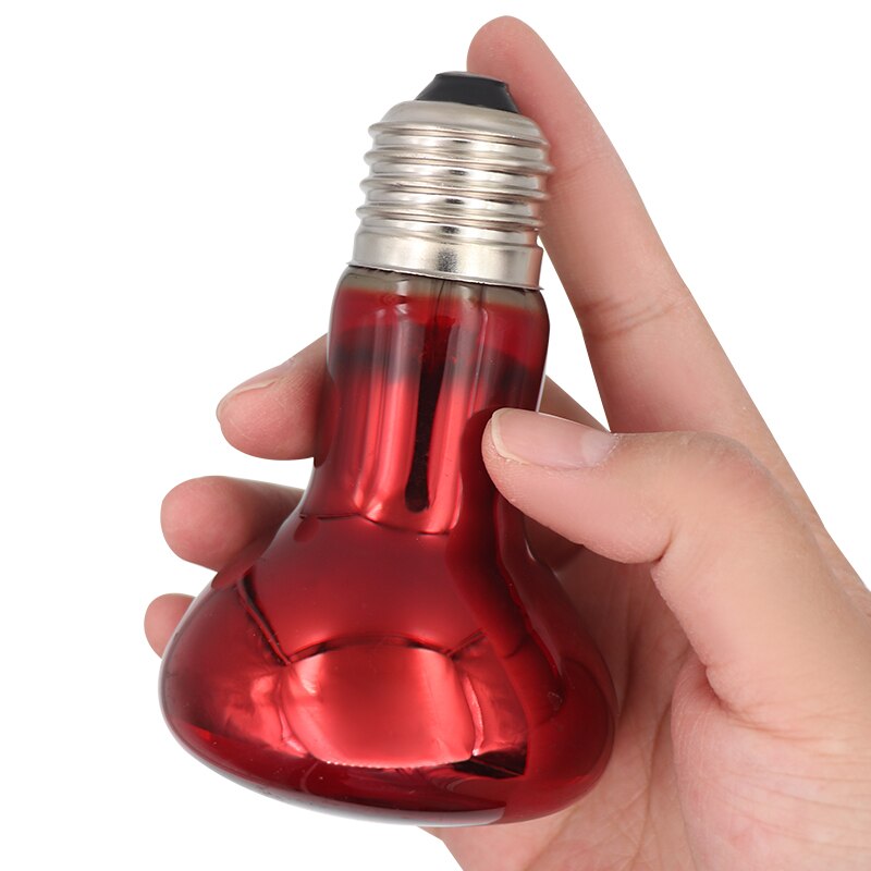 Reptile Heat Lamp Set Verlichting E27 Uvb Reptiel ... – Grandado