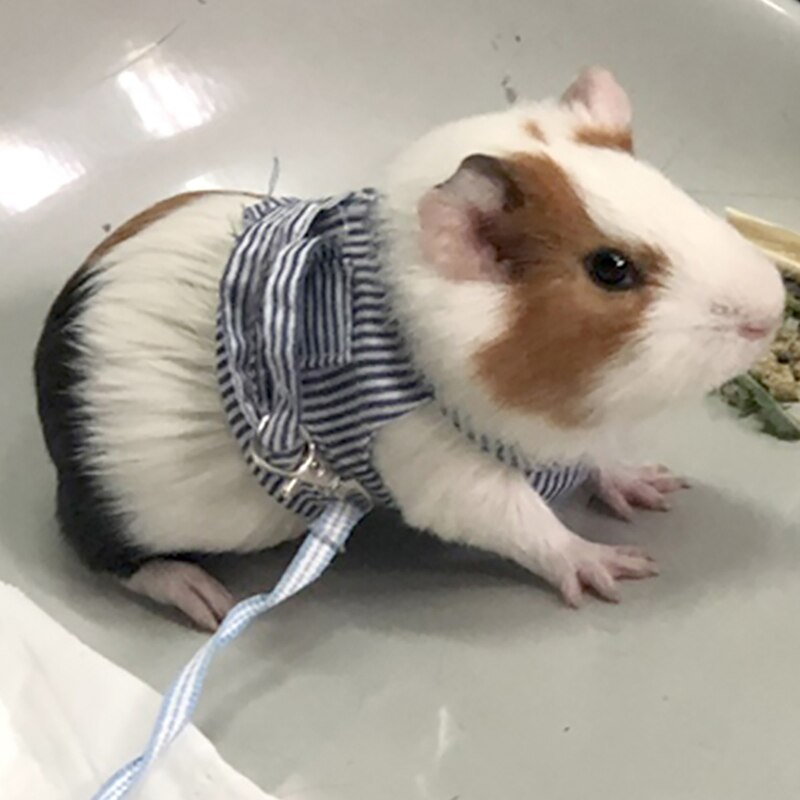 Arnés pequeño para mascotas, conjunto de chaleco y correa para Hurón, conejillo de indias, hámster, cachorro, arnés de correa pectoral con lazo, suministros para mascotas