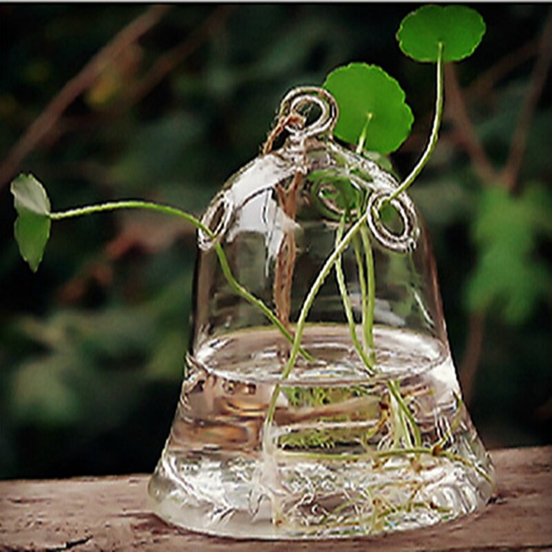 Bell Shaped Glass Wall Hanging Planters Hydroponic Vase Pendant Hanging Bottle Transparent Glass Vase Pots for Indoor Outdoor