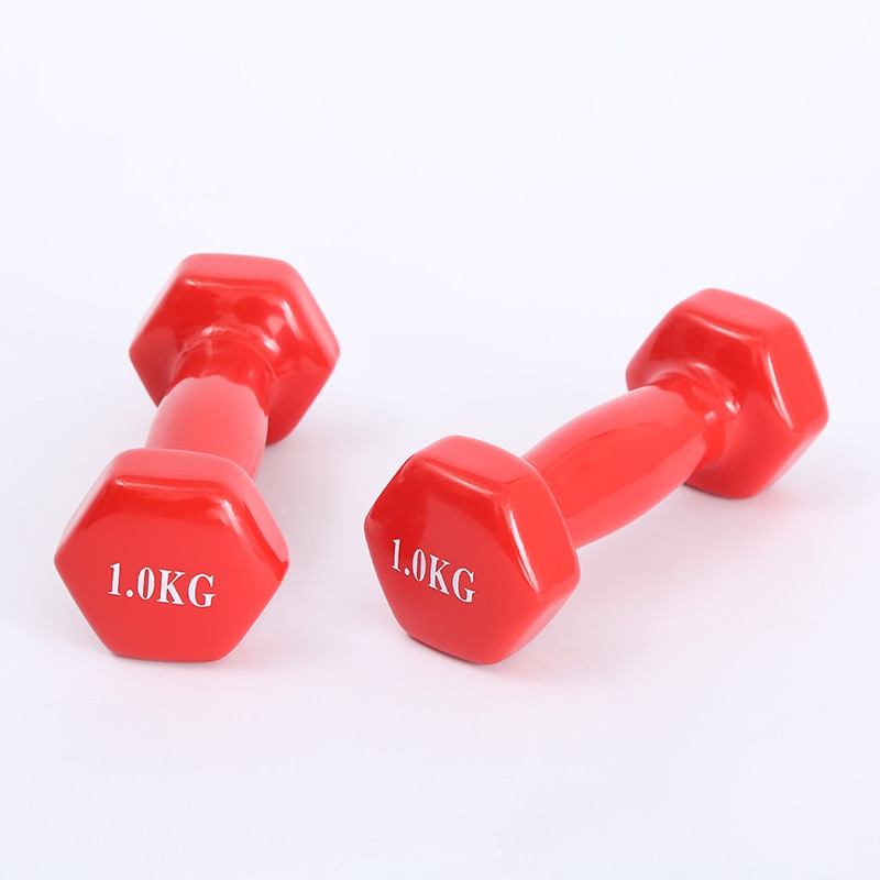 500g/Piece Dip Dumbbell Fitness Equipment Unisex Dumbbell Family Yoga Dumbbells Multi-Functional Fitness Dumbbells