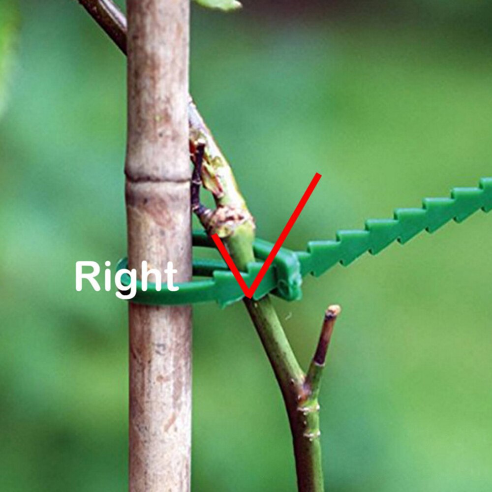 50/30PCS Plastic Plant Cable Ties Reusable Ties Garden Tree Climbing Growing Support Adjustable Fishbone Spur Tie Garden Tools