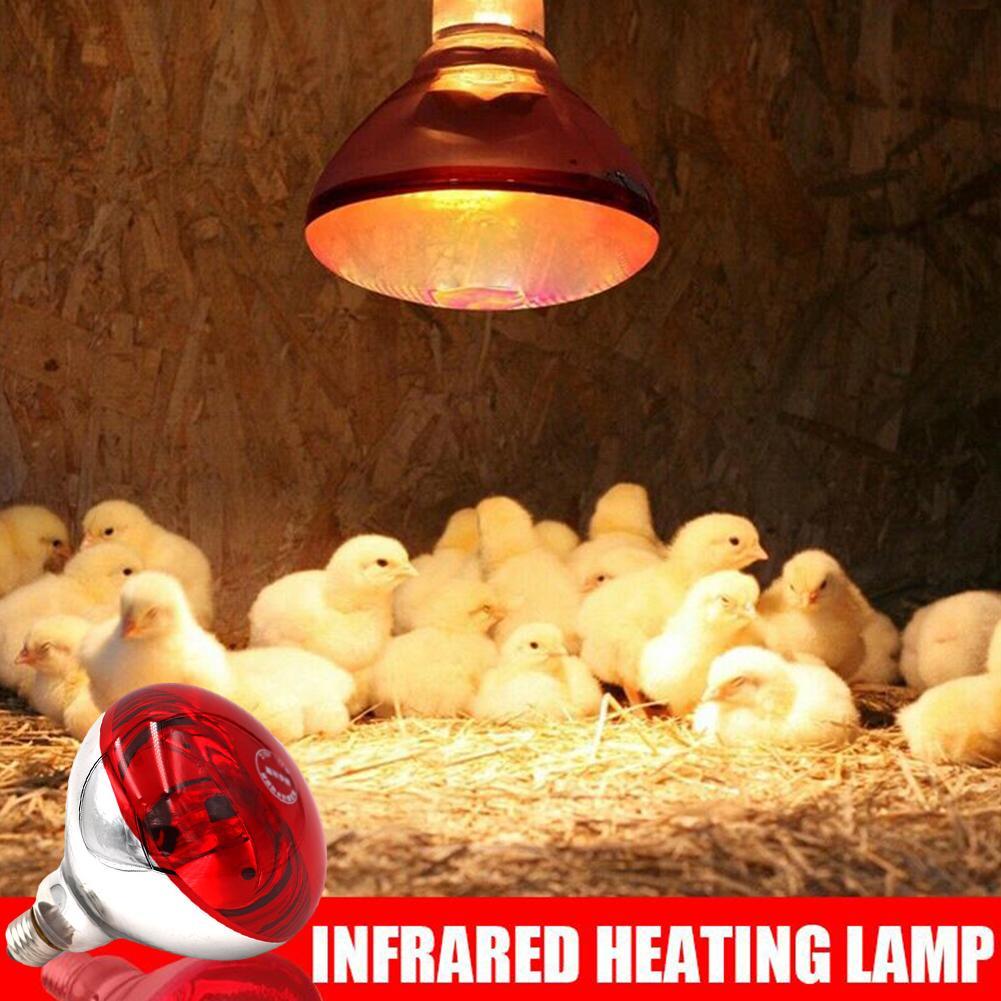 Breeding Heating Lamp For Pig Chicken 100/150/200/250W Agricultural Light Heat Lamps Infrared Ray LED Hatch Dog Cat Red Color