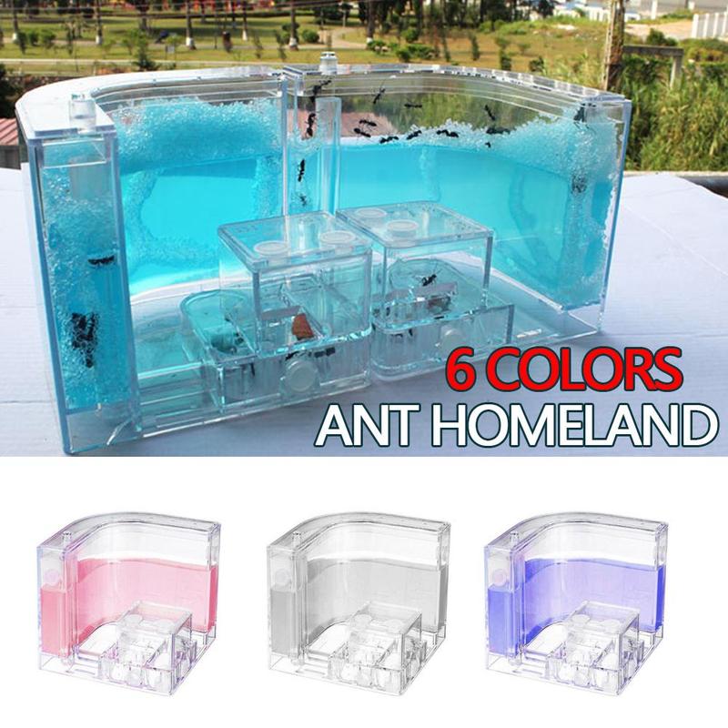3D Ant Home Insect Nest Acrylic Farm House Work Educational DIY nests insect ant ant Feeding Formicarium villa nest H5B5