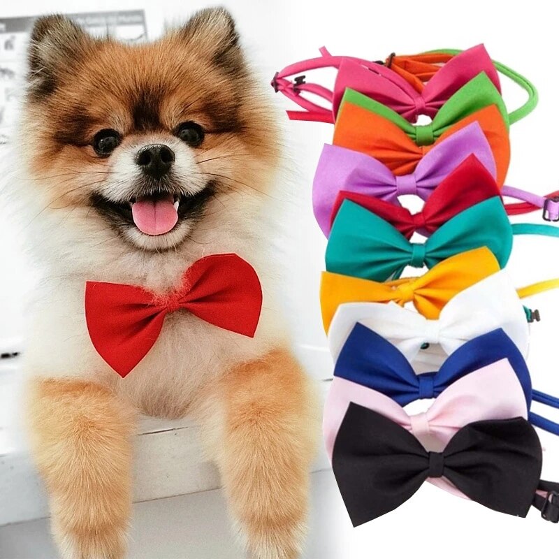 Pajarita ajustable para perro y gato, Collar para el cuello, accesorios para mascotas, pajarita Formal para cachorro, suministros para mascotas