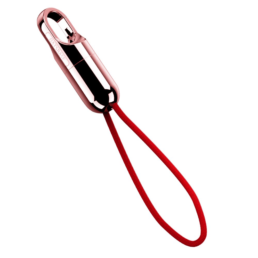Oatsbasf for IPhone X XS Max Cable Fast Charger for Iphone 7 8 plus USB Charging Cord Keychain Mobile Phone Cable: Rose gold