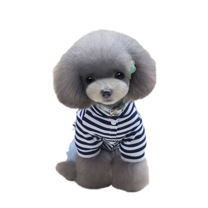 Nyeste kat stribe hyggelige bukser stilfuldt tøj små hunde kæledyrsudstyr s-xxl: Blå / L