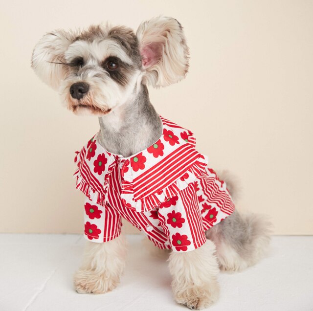 Dog clothes spring and summer thin lotus leaf flower shirt Teddy Schnauzer Pomeranian fighting Shiba Inu cat pet clothes: Red / S