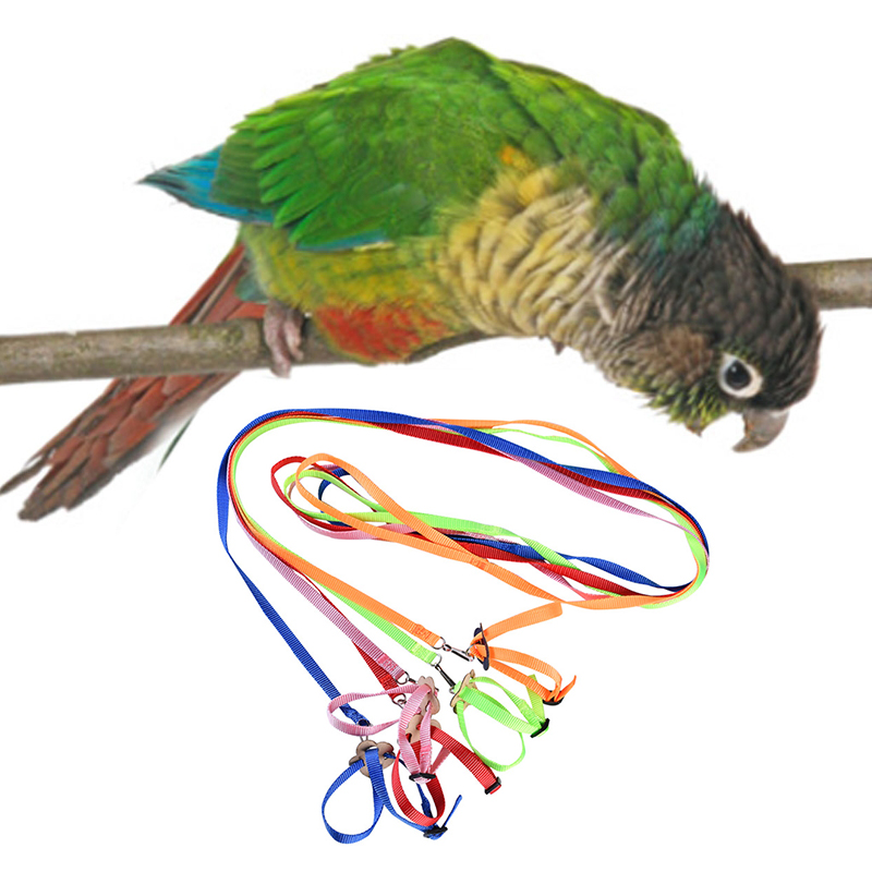 Harness And Leash For Birds Parrot Cockatiel Parakeet Conure Macaw Training Rope 5 Colors
