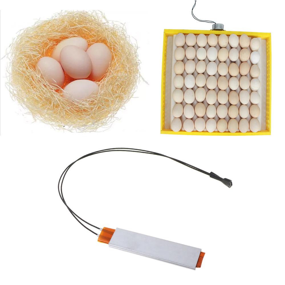 Free_on 220V Heating Incubator Heater Element Plate For Egg Incubator Accessories