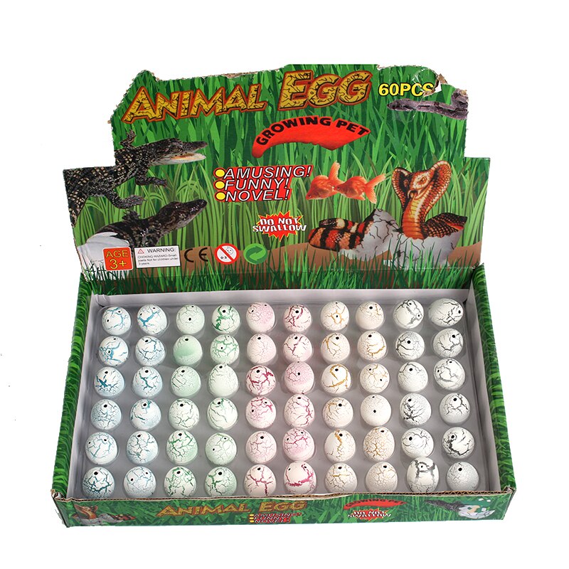 10 pz/lotto Della Novità Sveglia Magia Cova Crescente Animale Uova di Dinosauro bavaglio Giocattoli Giocattoli per I Bambini bambino Bambini Giocattoli Educativi Regali: bianca 60pezzi scatola