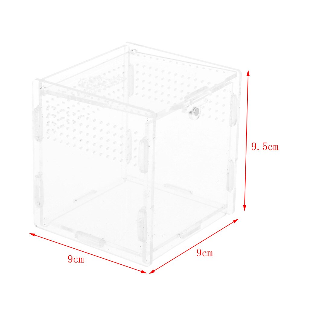 Matelijat säiliö hyönteiset hämähäkit sammakkoeläimet sammakko kasvatus ruokintalaatikko vivarium terrariums vivarium häkki sisustus