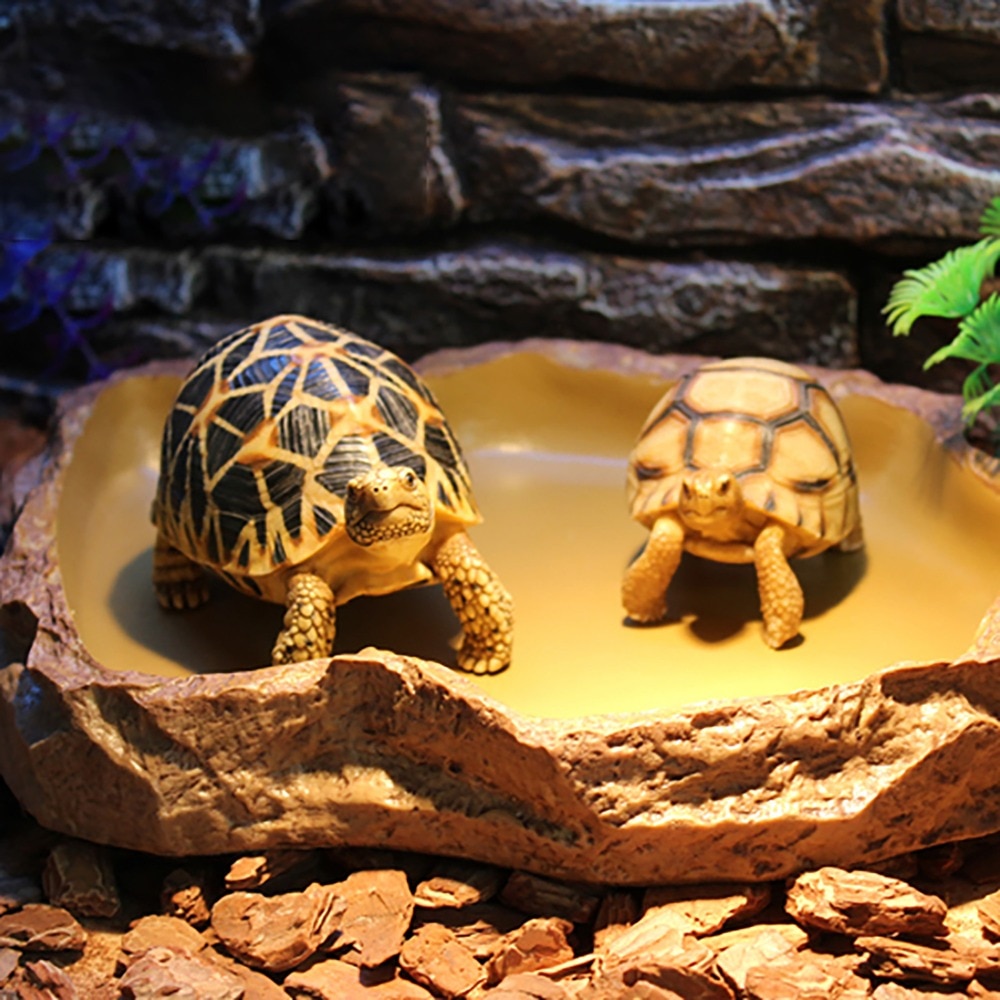 Plato de agua para reptiles e insectos, cuenco de agua, bandeja de alimentación para baño, tortuga Gecko, lagarto, serpiente, Tortuga, patrón de mármol, decoración para terrario grande