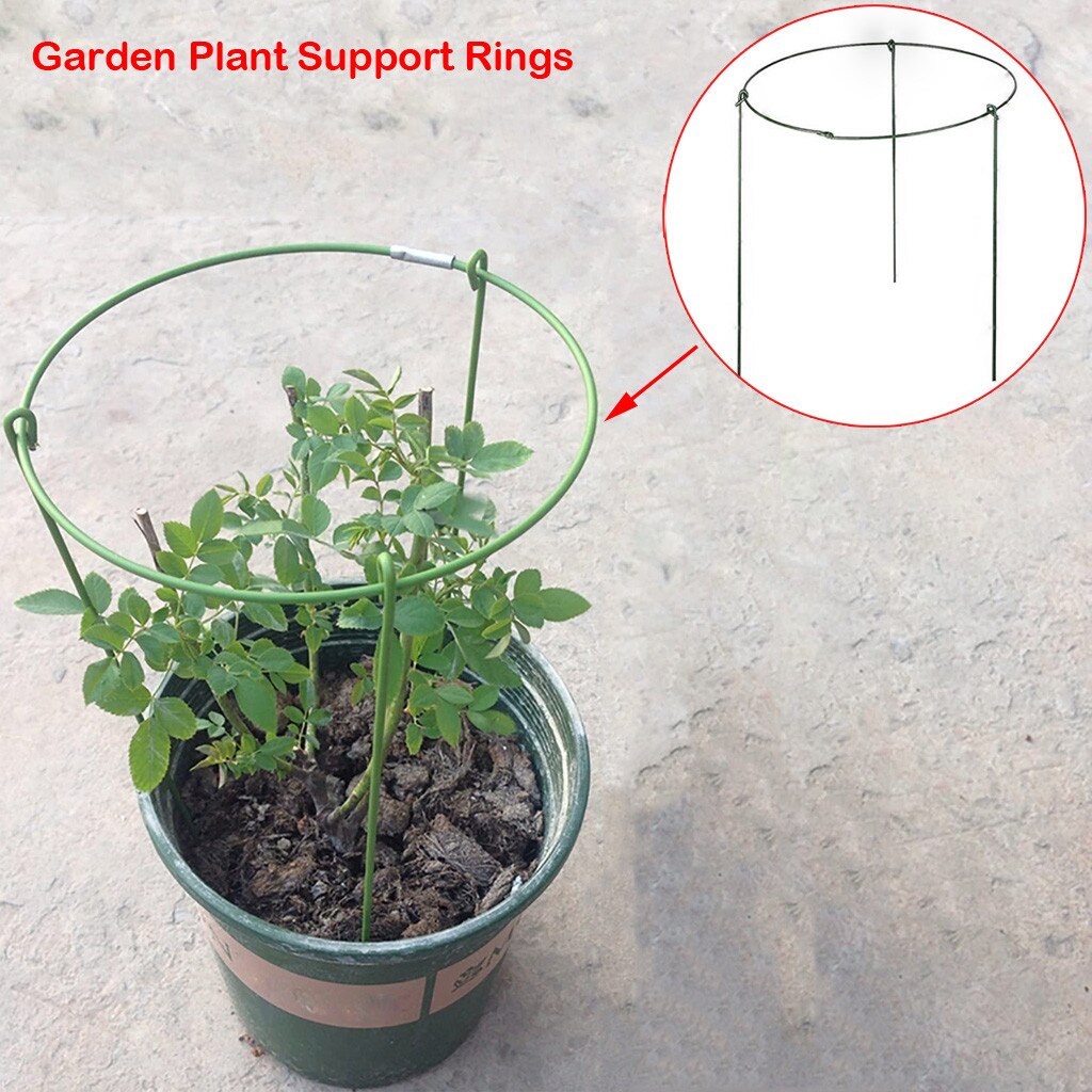 Rose Flowers Vine Garden Supply Garden Support Stake Garden Plant Supports Ring Border Support Plant Support Ring Cage N50