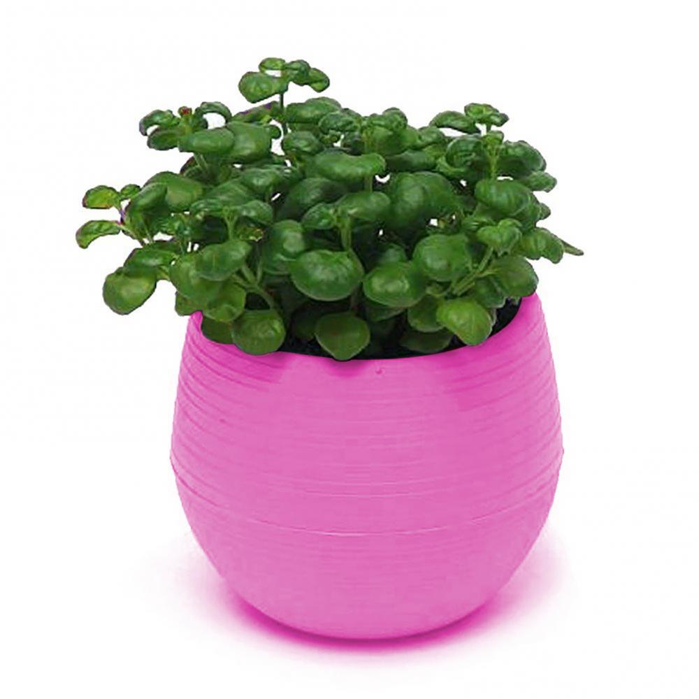 Vaso suculento com 2 camadas, mini vaso de flores, mesa, planta verde, vaso de berçário, decoração de jardim doméstico, plantadores: YELLOW