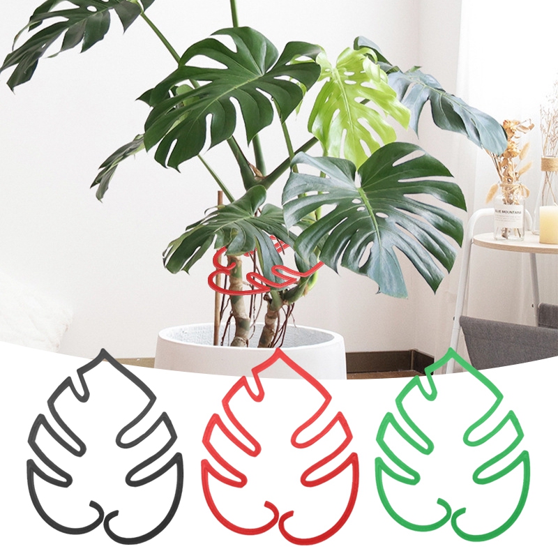 Monstera Pflanzensttze Pflanzenhalter Blattform P...  Grandado