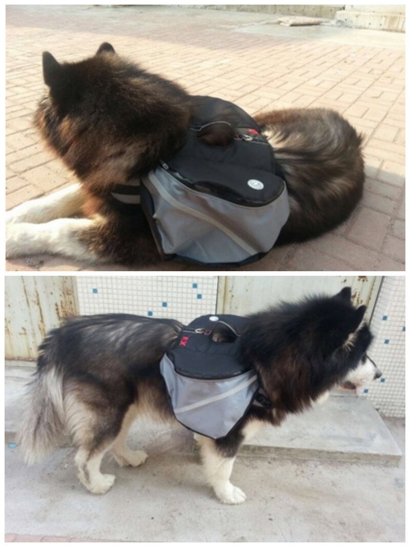 Hund Sattel Rucksack Reflektierende Tasche Sicherheit bei Nacht Mittel groß groß Hund Pack Tasche draussen Wandern Camping Ausbildung Haustier Träger TC