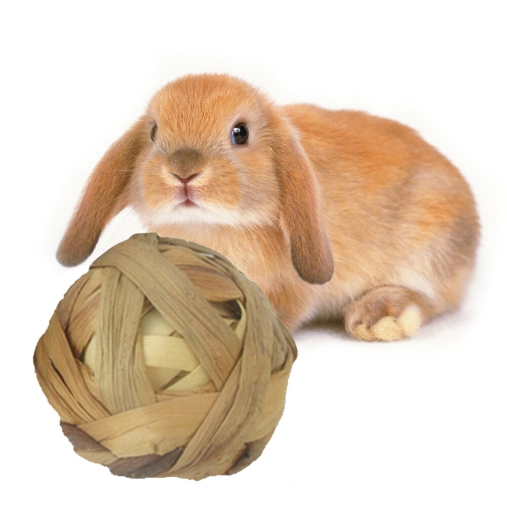 Boule tressée plante aquatique naturelle | Lapin Hamster, petit animal de compagnie, jouet à mâcher, perroquet, jouet sur pied