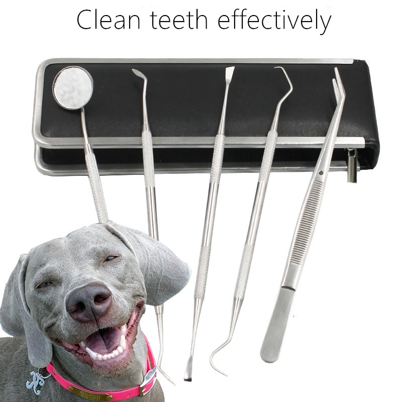 Kæledyr tand rengøringsværktøj hund kat tartar fjernelse sten tand skraber dyr tandpleje værktøj kæledyr pleje og vask forsyninger