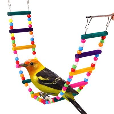 Juguetes pájaros mascotas aves Swing de Color madera escalera para loros Flexible buena loro juguetes de madera soportes para loros aves Accesorios