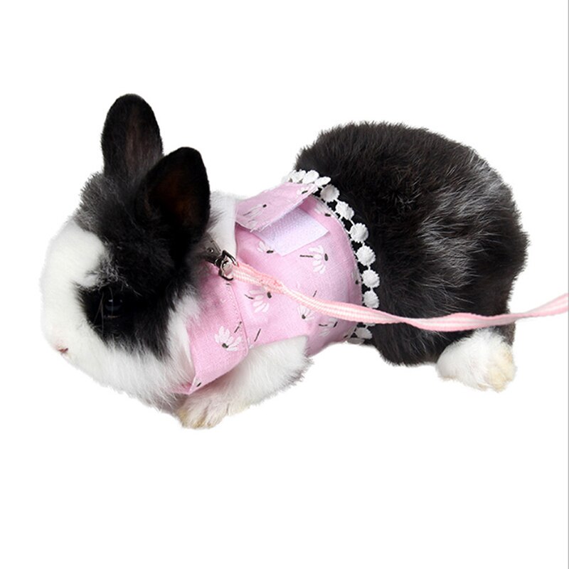 Kleine Huisdier Konijn Harnas Vest En Riem Set Voor Fret Cavia Bunny Hamster Puppy Borstband Harnas Dierbenodigdheden