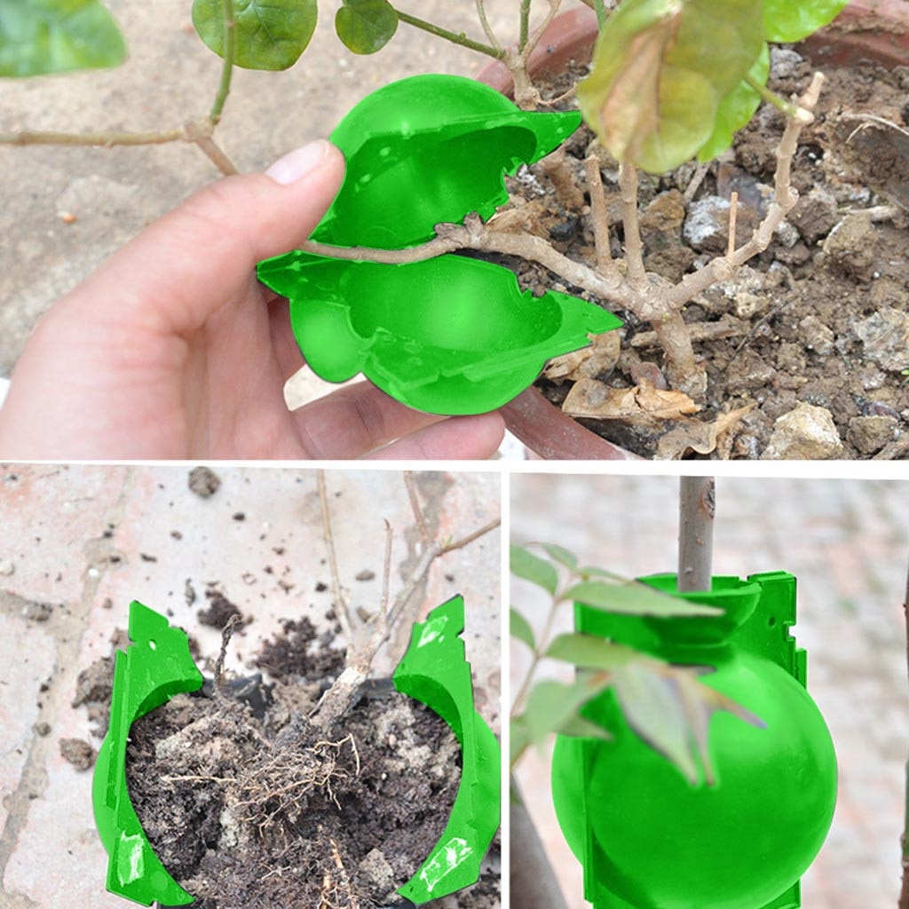 Plant Rooting Ball Plant Root Growing Box Grafting Rooting Growing Box Breeding Case For Garden Plant Root Box