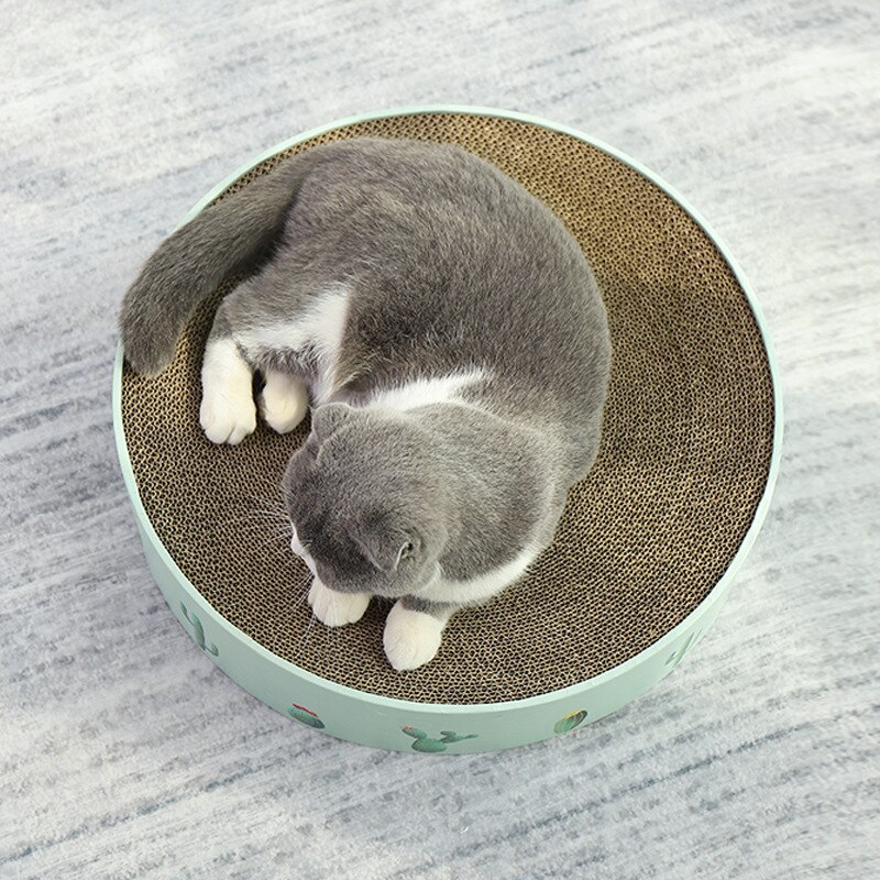 Gut Katze Bord Kratzen Krallen Für Katzen Möbel Kratzer Waren Für Tiere Katze Spielzeug Nagel Scratcher Bett Kätzchen Kaktus