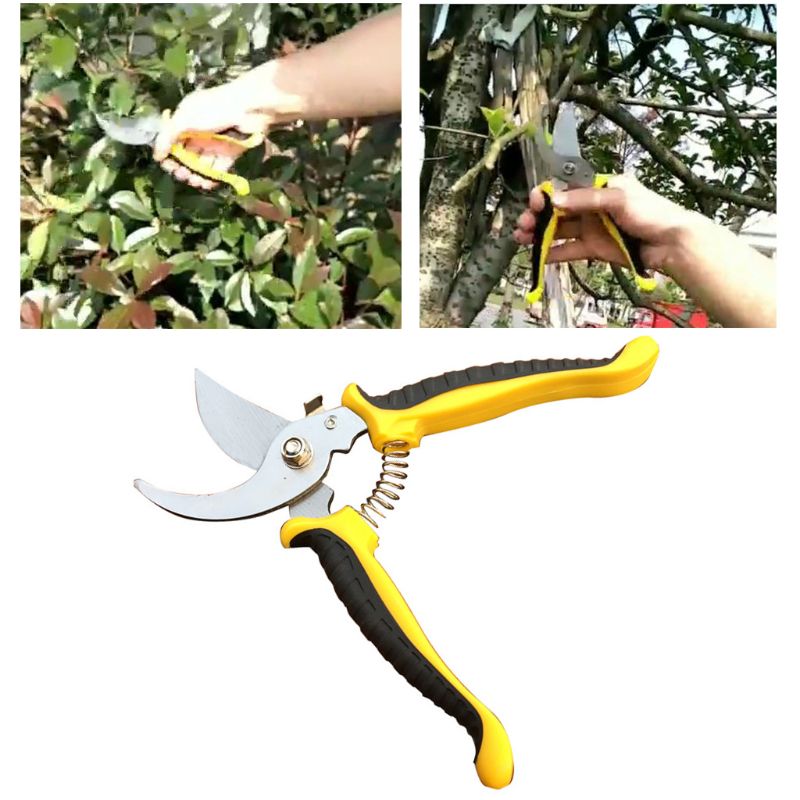 Ciseaux de jardinage durables d'acier inoxydable de ciseaux de taille de jardin de forme de croissant M0XD