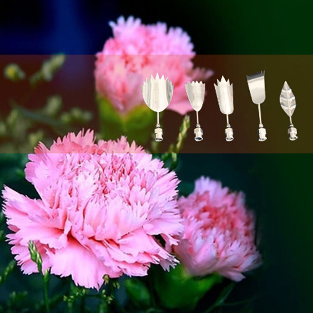 5 STKS Rose 3D Jello Jelly Art Naalden Tools Jelly Cake Gelatine Pudding Nozzles