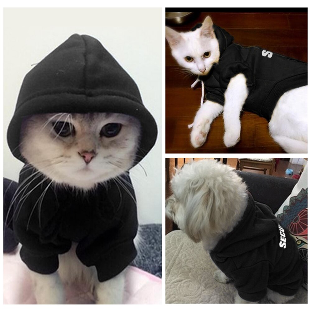 Kat tøj kat killing frakke jakke pet hættetrøje til små katte hunde kæledyr tøj kanin kostume sweater til chihuahua mops