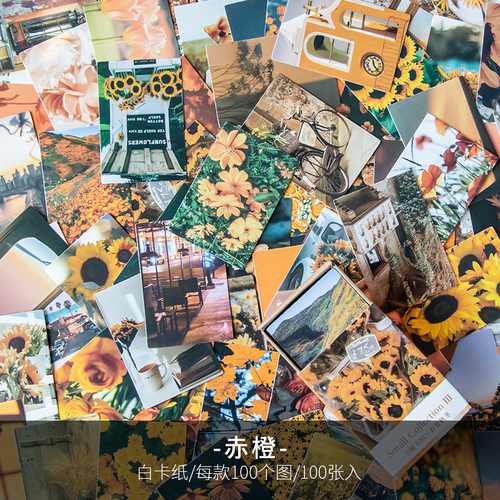 100 Stück Frühling Sommer Herbst Winter Kraftpapier Mini Grußkarte INS Blume Postkarte Brief Umschlag Dekoration LOMO Karten: green