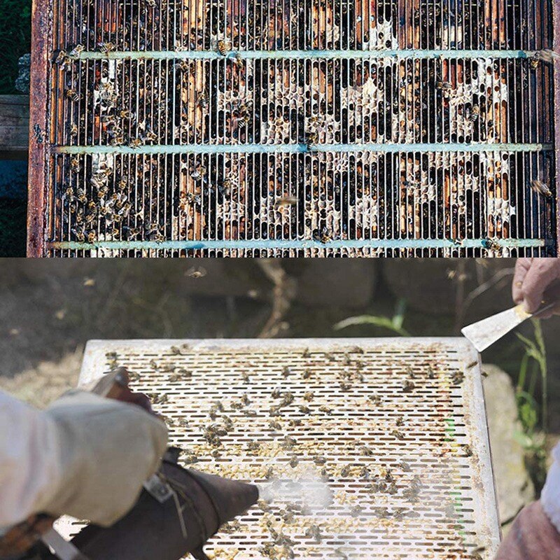 Plastic Beekeeping Queen Excluder to Keep Queen Separate From Honey Boxes in a Bee Hive