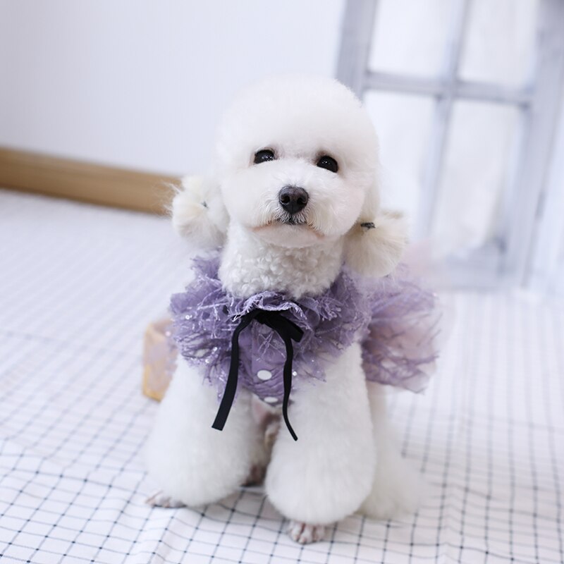 Ropa hecha a mano para perro, tutú clásico, púrpura, Gato de tul, yorkshires, maltés,