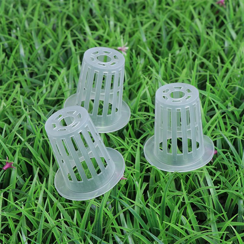 Cestas para cultivo hidropónico de orquídeas, 100 Uds.
