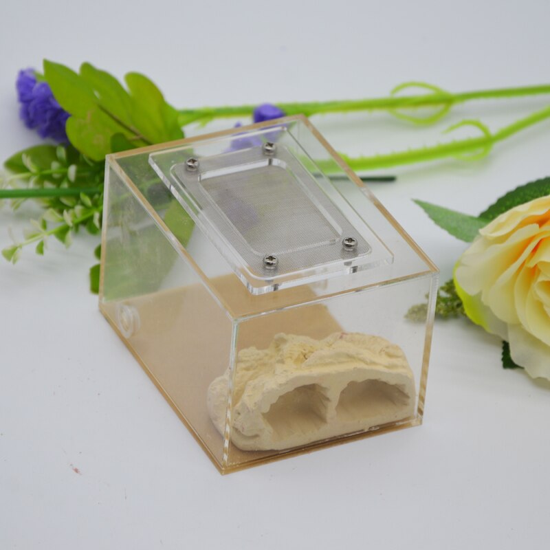 Imitation Ecological Ant Farm DIY Plaster Rockery Pet Ant Castle Landscaping Workshop Home Ants Farm House: SF-A005