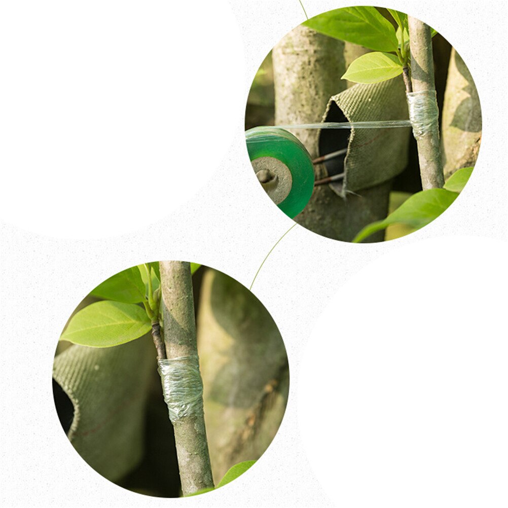 Ruban de greffe pour greffage, outils de jardinage, branche d'arbre fruitier, adhésif sensible à la pression, 2cm de largeur