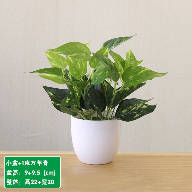 22cm artificiel vert aneth persan feuilles plantes bonsaï maison salon balcon bureau décoration blanc en pot plantes bonsaï: Style 19