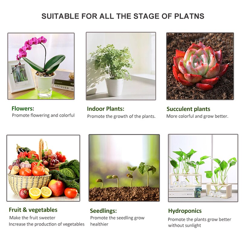 Indoor LED 3500K Grow Light 1000W Volledige Spectrum Phyto Lamp Led Grow Tent Lamp Voor Planten Teelt Medische plant Zaden Bloemen