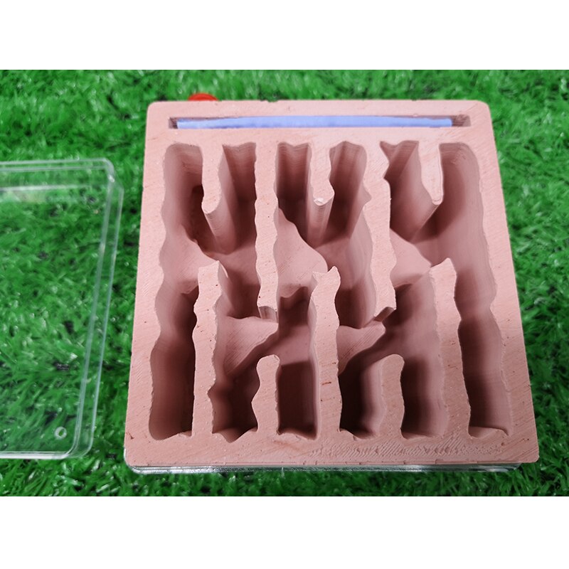 mini mrówka schody gniazdo tynk gniazdo farma mrówek warsztat owad Terrarium wyjątkowe prezenty