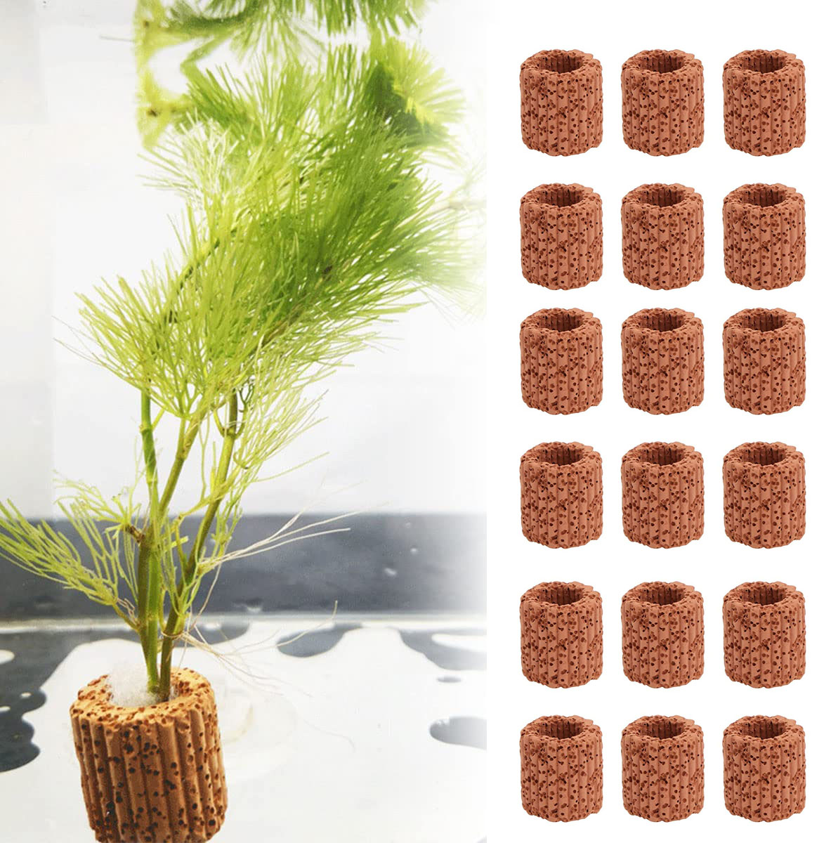 Anillo fijo para plantas acuáticas, Base de cerámica para acuario, paisaje, maceta, accesorios para peceras, 10/20 piezas